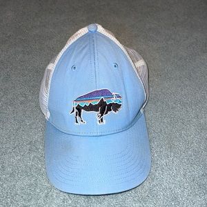 Patagonia Fitz Roy Bison LoPro Trucker Hat Cap
